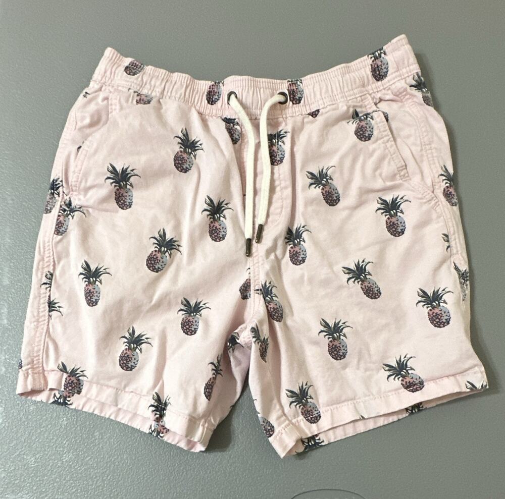 Hollister Men's Jogger Shorts Pink Pineapple Tropical Cotton 7" Inseam XS